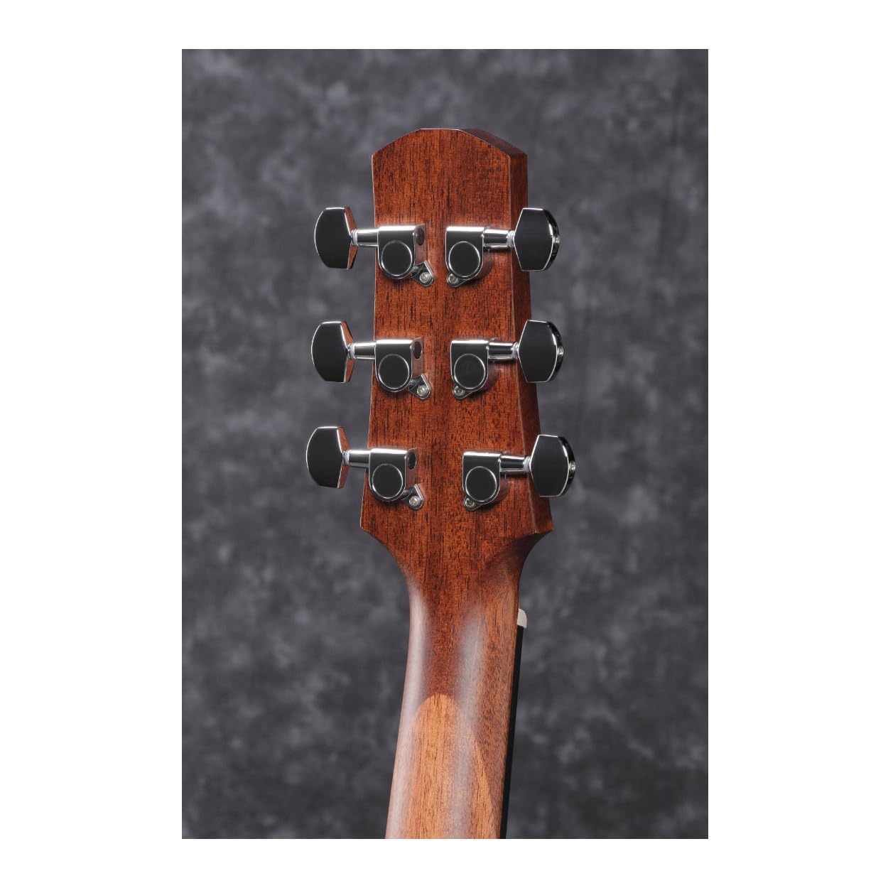 Amazon.co.jp: Ibanez アドバンスド・アコースティック・シリーズ